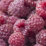 Photo of protecting raspberries from pests and diseases