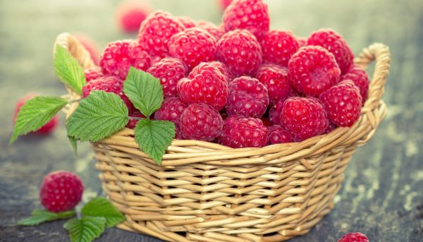 Photos of types and varieties of raspberries with descriptions