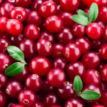 Photo of the harvest cranberries