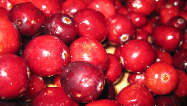Photo of American varieties of cranberries
